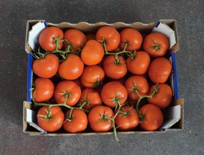 Foto Pomodoro Grappolo Origine Italia Marchio Giugno & Co 3